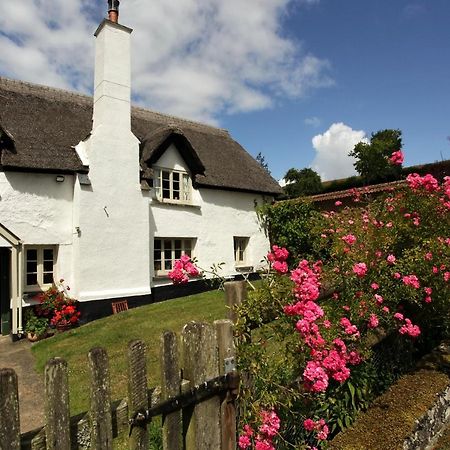 Brook Farmhouse Tedburn エクステリア 写真
